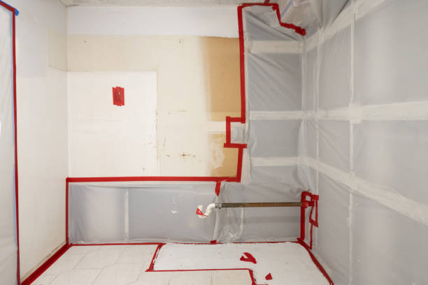 Best Comprehensive Air Testing for Mold Contaminants  in Ddleville, MI
