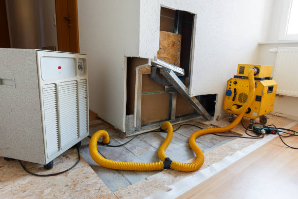 Best HVAC Mold Inspection and Cleaning  in Ddleville, MI